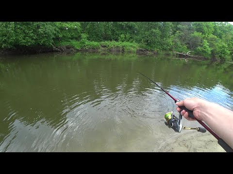 Видео: ДАВНО ЕГО НЕ ЛОВИЛ! Рыбалка на спиннинг на реке среди коряг