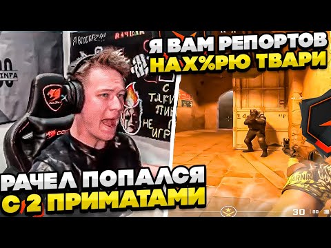 Видео: ⚡РАЧЕЛ ПОПАЛСЯ С 2 ПРИМАТАМИ! #rachel #рачел #insilio #cs2 #rachel