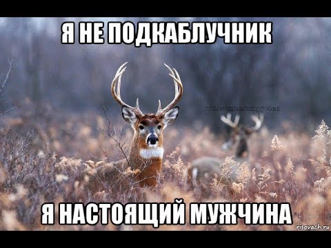 Видео: Возвращанки.  Какие отношения тебя ждут!