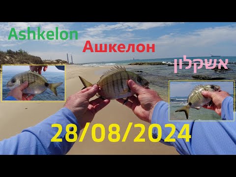 Видео: 4K 28/08/2024 Ashkelon אשקלון Ашкелон fishing דיג рыбалка