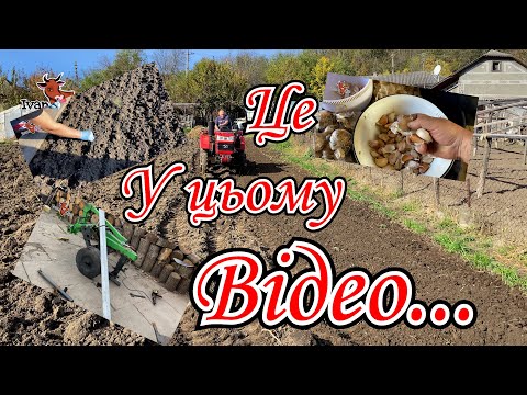 Видео: Фрезування грядок під часник🧄. Посадили часник🧄. Удосконалюю Плуг👍 #ІванКо, @ІванКОміх