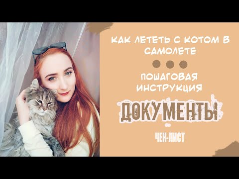 Видео: Как перевозить кошек и собак в самолете? | Перевозка в Германию |Правила Перевозки 2021 | ЧЕК-ЛИСТ