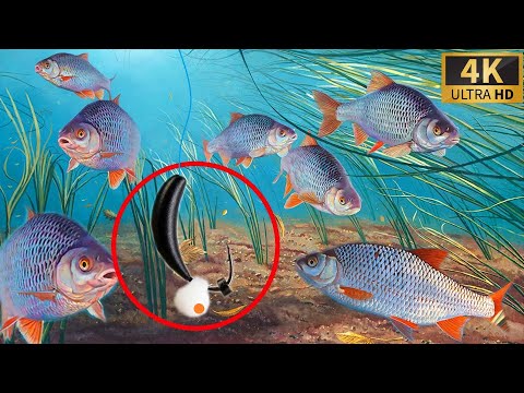 Видео: Местный рыбак подсказал мормышку и Я ЕЛЕ УНЁС УЛОВ СО ЛЬДА!!!!