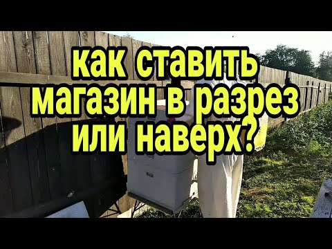 Видео: как ставить магазины для пчёл в разрез или нет?