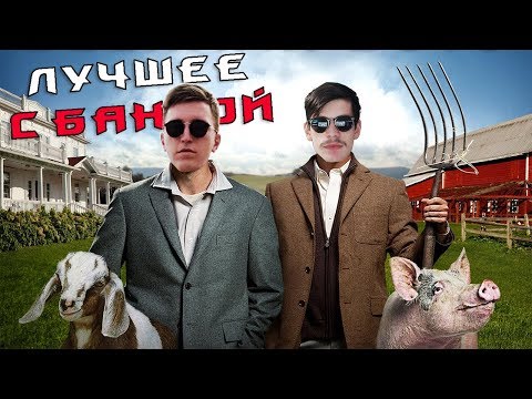 Видео: Так кто в Банде главный? / ЛУЧШЕЕ С БАНДОЙ No. 84