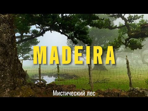 Видео: Влог: Райский остров 🏝️в Атлантическом океане 🌊| Север Мадейры до пожара 2024 | Лес Фанал | Бассейны