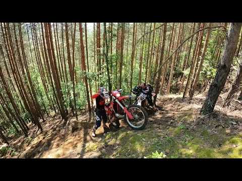 Видео: Корница 2024