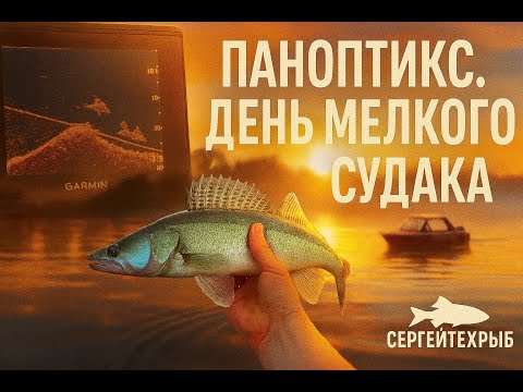 Видео: Паноптикс. День мелкого судака
