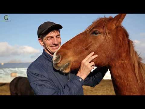 Видео: Ключ к успеху - КХ "Волохович А.В." (Костанайская область)