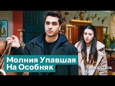 Видео: Ферит Привел Пелин в Особняк! | Зимородок 19 Cерия