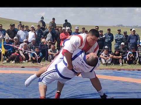 Видео: Түйе палуан. Нұралинов Дәурен, Шамшиев Саят кім мықты?