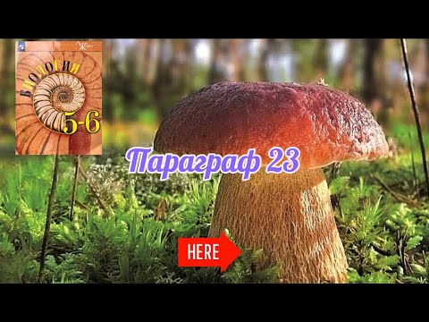 Видео: Биология 5-6 кл.  аудио Параграф 23 " Царство грибы" (Пасечник)