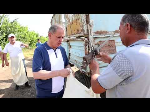 Видео: Ҳашари умумишаҳри дар пахтазор