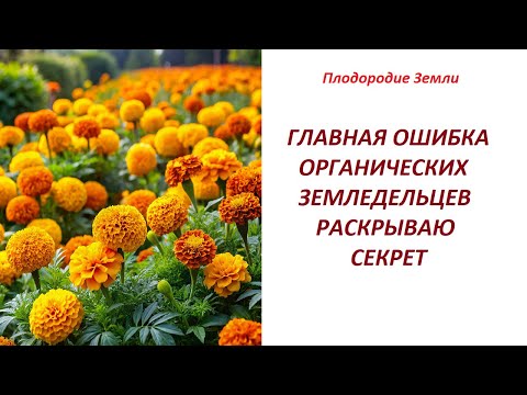 Видео: Чего не понимали все кто практиковал органическое земледелие №644/24