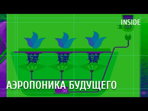 Видео: АЭРОПОНИКА / ФОРСУНКИ БУДУЩЕГО