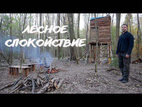 Видео: Домик над землёй #11 / Одиночная ночёвка в лесном домике, ужин на углях.