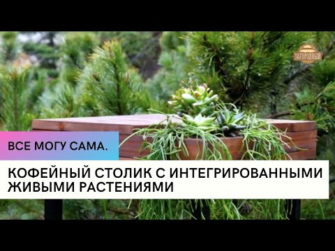 Видео: Кофейный столик с интегрированными живыми растениями \ Все могу сама