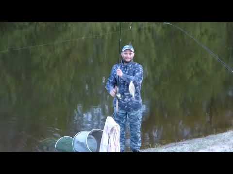 Видео: Есть ли рыба в Ворскле...