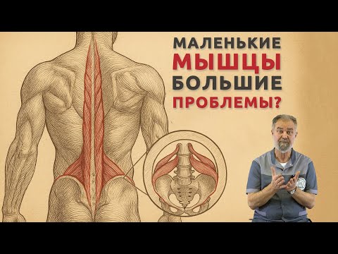 Видео: Забытые стабилизаторы: почему маленькие мышцы решают всё