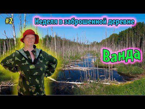 Видео: #2 Неделя в заброшенной деревне | Ванда | Максимово | Поиск металлодетектором