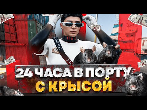 Видео: РАБОТАЮ В ПОРТУ 24 ЧАСА С КРЫСОЙ НА ГТА 5 РП | САМАЯ ЛЕГКАЯ И ПРИБЫЛЬНАЯ РАБОТА В 2025 НА GTA 5 RP