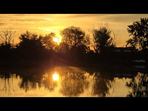 Видео: Осенняя Рыбалка