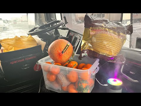 Видео: Мандарины из солнечного Новосибирска👀