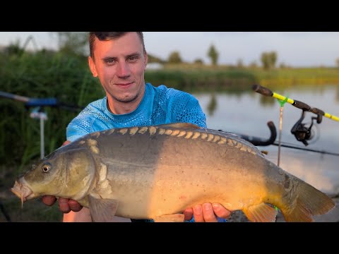 Видео: Рибалка на коропа у Вінниці! Флет фідер, CARP PRO та STZ BAITS