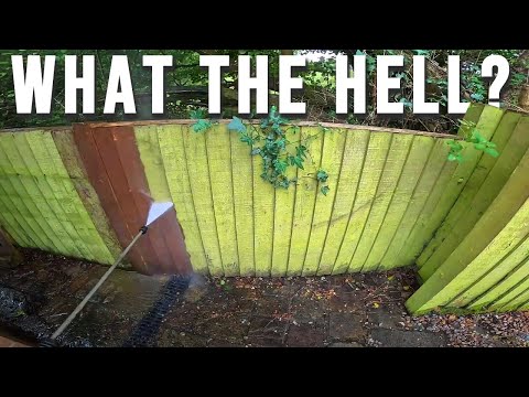 Видео: Самый экологичный забор, который я КОГДА-ЛИБО чистил, и грабеж патио?