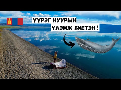 Видео: Үүрэг нуурын үлэмж биет амьтан "ХӨХ БУХ"-тай уулзав.❗