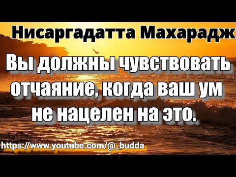 Видео: Когда поиск полностью прекращается, это и есть Высшее Состояние. Нисаргадатта Махарадж #просветление