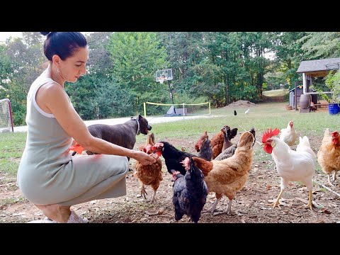 Видео: Хватит с Меня | Кто Бы Мог Подумать | Распаковка | Пирожки на Ночь | Семейный Влог | Эгине