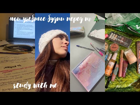 Видео: мои учебные будни 📑 учись со мной//vlogmas: поднимаю новогоднее настроение 🎄