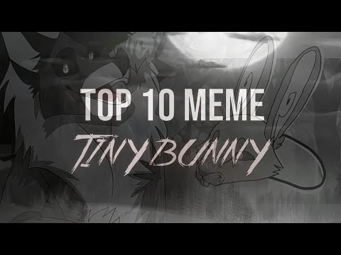 Видео: Top 10 Meme| Зайчик | Tiny Bunny | Alice | Animation meme |