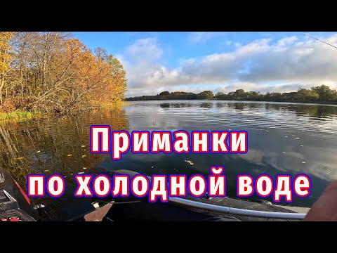 Видео: Сравнил приманки на холодной воде — результат удивил!