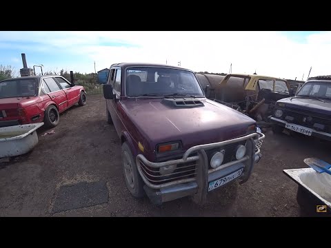 Видео: На такой НИВЕ ПРИЦЕП МНЕ НЕ НУЖЕН !