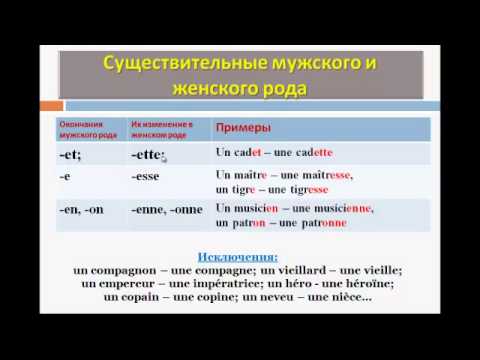 Видео: Уроки французского #29: Род и число существительного