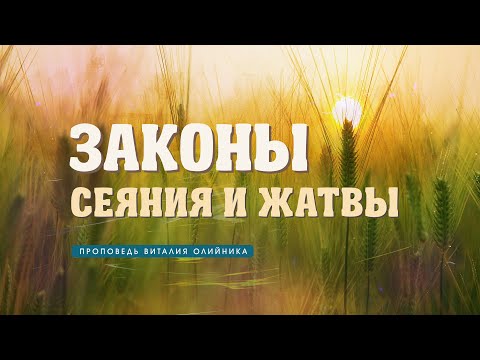 Видео: Законы сеяния и жатвы