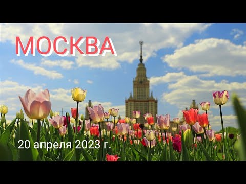 Видео: КОТоПрогулка по Москве: Воробьёвы горы, Парк Горького, Пушкин, Рахманинов и Любовь, 20 апреля 2023г.