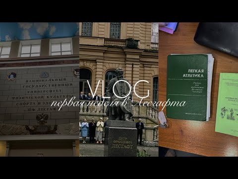 Видео: первокурсники - cleaning  симулятор 2025 | uni vlog | учимся и убираемся