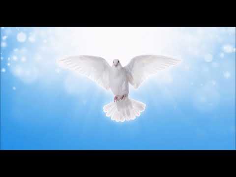 Видео: А.В.Клюев - Как Открыть в Себе Тайну Бога - Сила и Трансформация - Сход Супраментальной Силы