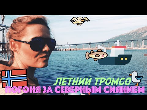 Видео: АРКТИЧЕСКИЙ ОПЫТ В ТРОМСО, НОРВЕГИЯ [ДЕНЬ 2, ЧАСТЬ 1] ЛЕТО 2019