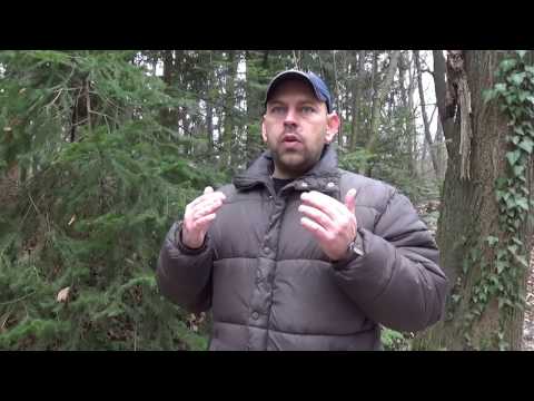 Видео: Румен Чакъров: Исо, бленда, скорост.