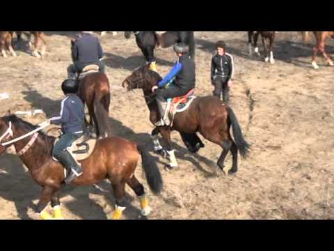 Видео: Кокпар Шардара Кызылкум ауылы Данияр 29.11.2015 ж. 1-болим  (1-4 болим)