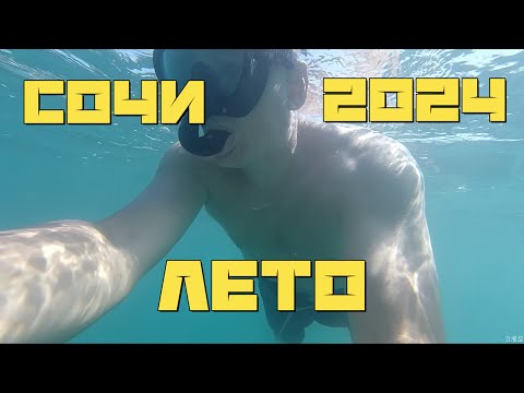 Видео: Подводная охота лето 2024 часть 1