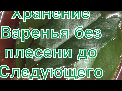 Видео: Хранение варенья без плесени до нового урожая! Эксперимент Удался!