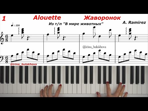 Видео: ALOUETTE Жаворонок из передачи В мире Животных Пианино  Рамирес Ramirez Ноты Sheet Music Score Piano