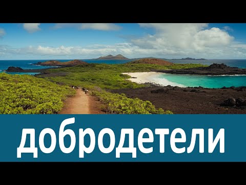Видео: Нет ничего сильнее, нет ничего могущественнее этой добродетели.  Иларион Саровский
