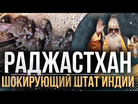 Видео: ХРАМ КРЫС, ПУСТЫНЯ ТАР, ДРЕВНЯЯ КРЕПОСТЬ, ГДЕ ЖИВУТ ЛЮДИ - РАДЖАСТХАН