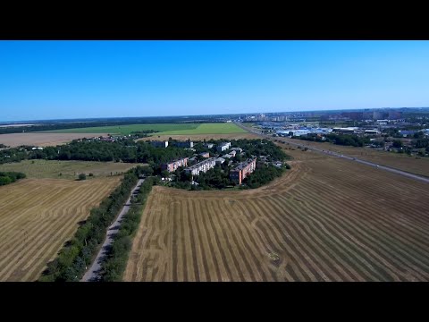 Видео: «Культурная навигация». Елизаветинская